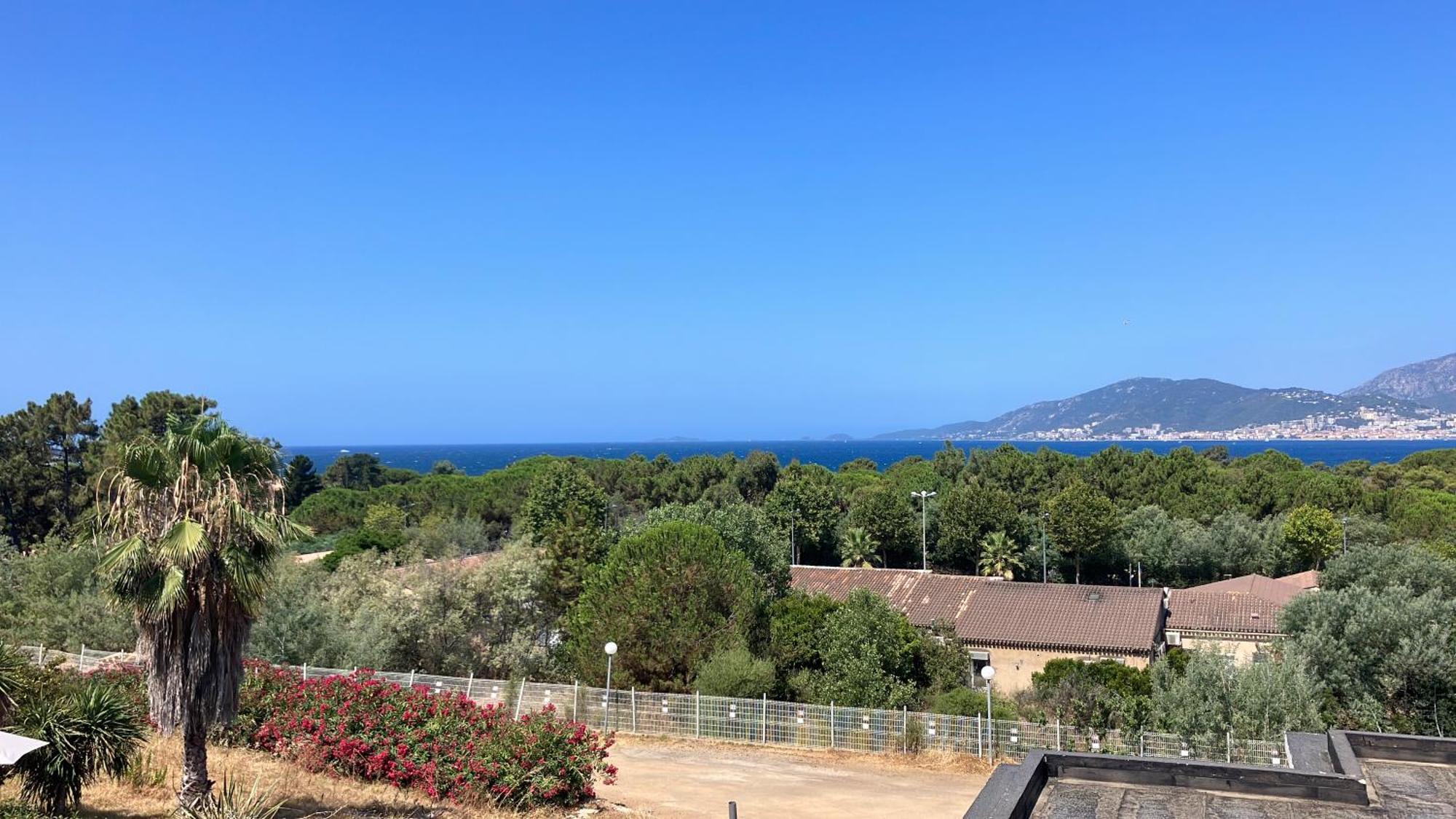 Porticcio Vacations - Terrasse, Piscine, Jacuzzi, Clim - By Tgb Apartment Bagian luar foto